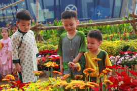 Sắc xuân ngập tràn từ vườn hoa ga Ba Son đến bờ sông Sài Gòn