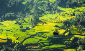 Tạp chí Mỹ chọn Sa Pa là điểm đến dành cho người tuổi Sửu năm 2026