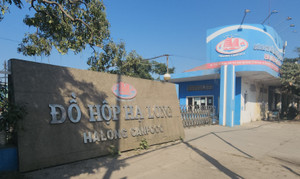 130 tấn thịt lợn bệnh được đưa vào nhà máy sản xuất thịt hộp: Tỉnh Quảng Ninh lên tiếng