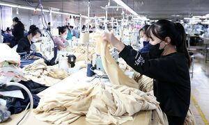 Không ký hợp đồng lao động: Doanh nghiệp sai luật, người lao động cần làm gì?