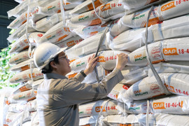 PVFCCo - Phú Mỹ đặt kế hoạch tăng trưởng hai chữ số năm 2026