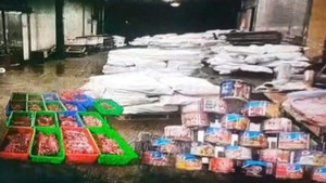Khởi tố vụ dùng thịt lợn nhiễm dịch tả làm đồ hộp ở Hải Phòng