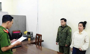 Lần theo vali 'vô chủ' ở sân bay, triệt phá đường dây buôn lậu tôm hùm giống