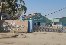 Vì sao Tổng giám đốc Công ty Cổ phần Đồ hộp Hạ Long bị bắt?