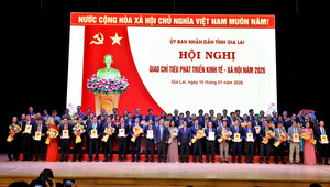 Gia Lai bổ sung 11 chỉ tiêu cho sở ngành, 21 chỉ tiêu với xã phường năm 2026