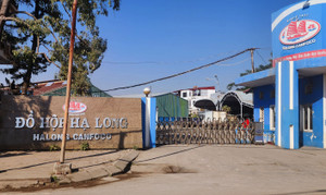 Bắt khẩn cấp Tổng giám đốc Công ty Cổ phần Đồ hộp Hạ Long