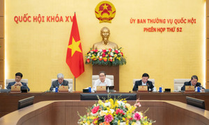 Ủy ban Thường vụ Quốc hội quyết định số lượng, cơ cấu tỷ lệ ngạch kiểm sát viên