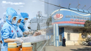 Tổng Giám đốc Đồ hộp Hạ Long có vai trò gì trong dây chuyền sản xuất?