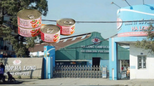 Thịt lợn bệnh tại Đồ hộp Hạ Long: Bi kịch của thương hiệu 70 năm tuổi