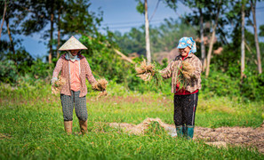 'Nắng vàng trên cát, lộc về đầy tay' tại thủ phủ kiệu Tết Gia Lai 