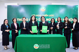 Ngôi Sao Hà Nội đồng bộ chiến lược, thống nhất chuẩn mực học thuật toàn hệ thống