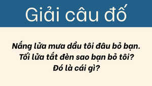 Câu đố này không khó miễn là bạn phải đọc kỹ đề