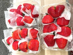 Dâu tây Mộc Châu đắt như tôm tươi tại TP.HCM