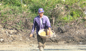 Hai tháng sau cơn lũ lịch sử, vùng 'rốn lũ' ở Đắk Lắk hồi sinh ra sao?