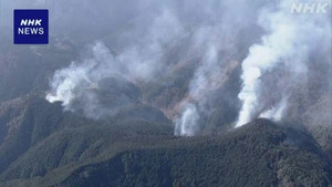 Cháy rừng lại bùng phát sát thủ đô Tokyo của Nhật Bản