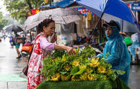 Dự báo thời tiết 20/1: Hà Nội sáng sớm mưa phùn, sương mù, chiều tối mưa rải rác