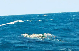 Khánh Hòa: Tàu cá cùng 8 ngư dân mất tích hơn 10 ngày