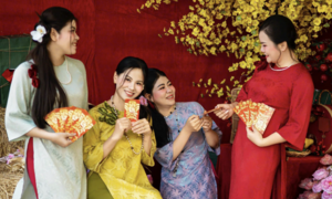 Đếm ngược Tết Bính Ngọ: Còn bao nhiêu ngày nữa, nghỉ vào ngày nào?