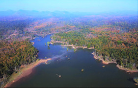 Chiêm ngưỡng sắc màu độc đáo của rừng khộp lớn nhất Việt Nam mùa trút lá