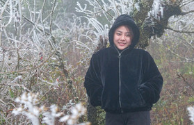 Tin không khí lạnh mới nhất: Miền Bắc rét đỉnh điểm, Mẫu Sơn -0,1°C