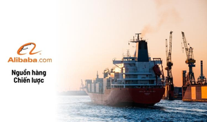Mua hàng trên Alibaba về Việt Nam, nguồn hàng thương mại cho thương nhân Việt