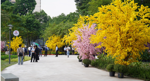 TP.HCM chi gần 6.000 tỷ đồng chăm lo Tết, tặng quà cao nhất đến 10 triệu đồng