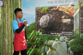 Cùng OMO mang 'lộc xanh' đến Vườn quốc gia Núi Chúa - Phước Bình