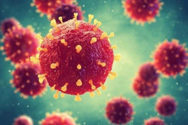 Dấu hiệu mắc virus Nipah là gì?