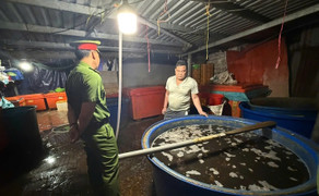 Rùng mình lời khai của chủ vựa ngâm 3.000 tấn thịt ốc bằng hóa chất công nghiệp