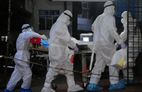 Virus Nipah nhóm A gây tử vong tới 75%, Bộ Y tế ra văn bản hỏa tốc