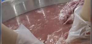 TP.HCM rà soát khẩn về bữa ăn bán trú tại tất cả trường học sau vụ Sago Food