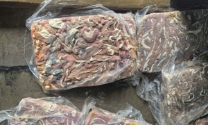 Điều gì xảy ra với cơ thể nếu ăn lòng heo ôi thiu?