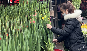 Trái cây, rau củ, hoa Tết bắt đầu nhích giá