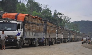 Ách tắc 300.000 tấn nông sản ở cửa khẩu: Bộ Nông nghiệp và Môi trường lên tiếng