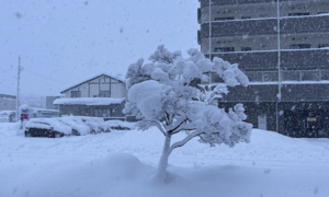 18 người thiệt mạng, 249 người bị thương do tuyết rơi dày kỷ lục tại Nhật Bản