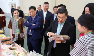 TP.HCM mang Tết phương Nam đến Hội chợ Mùa Xuân 2026