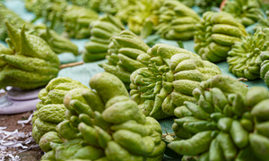 Mất mùa do bão lũ, phật thủ tăng giá mạnh dịp Tết Nguyên đán 2026