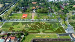Đoá sen khổng lồ trong Kinh thành Huế và linh vật ngựa hút khách dịp cận Tết