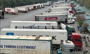 Phó Thủ tướng yêu cầu cấp bách hướng dẫn kiểm tra thực phẩm nhập khẩu