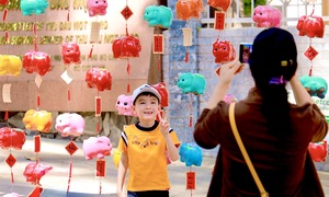 'Đường heo đất' TP.HCM gây sốt dịp cận Tết