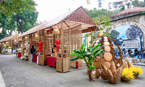 Rực rỡ không gian phố bích họa Phùng Hưng trong Chợ hoa Xuân Phố cổ 2026