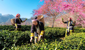 Chuyên gia: Biến đổi khí hậu ở Việt Nam không chỉ là câu chuyện riêng của Sa Pa