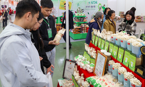 Khách ưa chuộng, hơn 200kg nấm sạch bán hết sau 2 ngày đầu hội chợ Mùa Xuân 2026