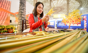 Đi hội chợ sắm Tết, khách còn được du xuân xuyên Việt