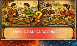 Đố vui 'hack não': 9/10 người xem đoán sai câu ca dao này