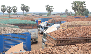 Thủ tướng yêu cầu khẩn trương giải tỏa ách tắc, thông quan kịp thời thực phẩm, hàng hoá