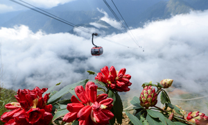 'Cú hích' từ Fansipan - Sa Pa trở thành điểm tăng trưởng nhanh nhất châu Á