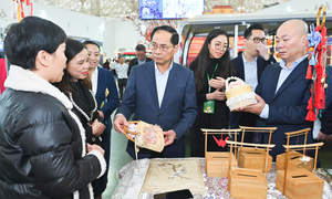 Phó Thủ tướng Bùi Thanh Sơn trải nghiệm không gian Hội chợ Mùa Xuân 2026