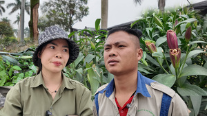 Kẻ gian chém nát vườn hoa ly Tết: Nạn nhân thất thần, 'mất hết rồi'