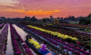 Tết hai miền qua ống kính HUAWEI Mate X7